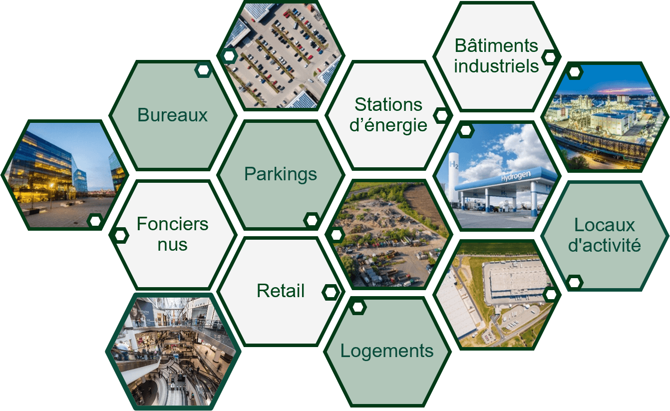 Les actifs que nous maîtrisons